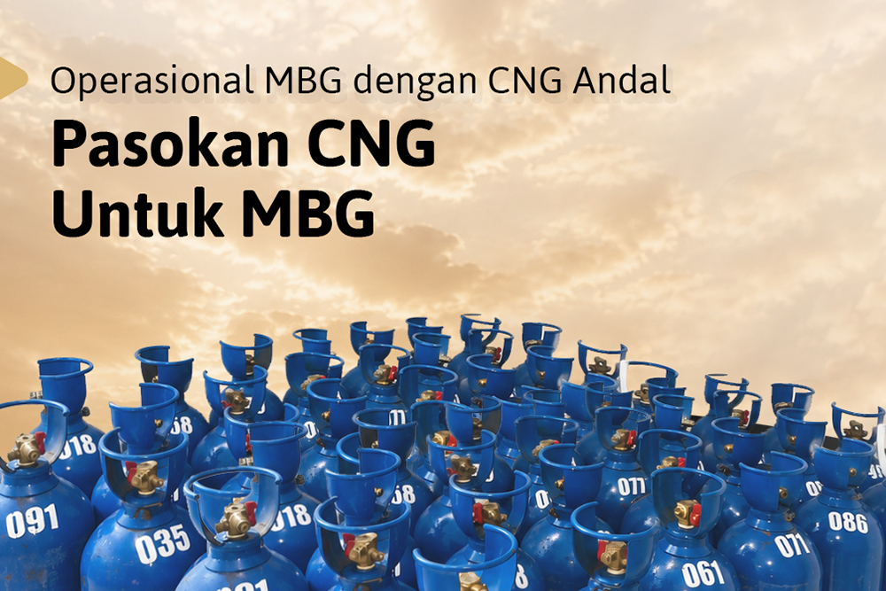 Pengapalan AMA International